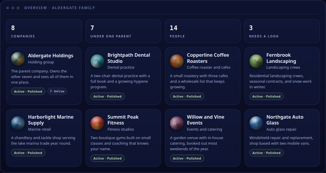 Demonstration: a fictional parent company's overview, with the companies nested beneath it shown as one family